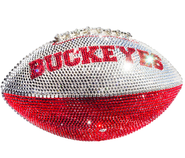 Ohio State Buckeyes Crystal Football other view